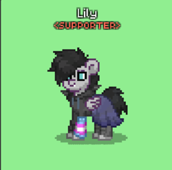 Size: 485x478 | Tagged: safe, oc, oc only, bat pony, pony, pony town, bat pony oc, boots, clothes, emo, hoodie, pride, pride flag, shoes, skirt, transgender pride flag