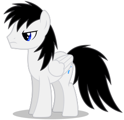 Size: 4787x4643 | Tagged: safe, artist:creedyboy124, oc, oc only, oc:shane park, pegasus, pony, angry, male, pegasus oc, simple background, stallion, stallion oc, wings