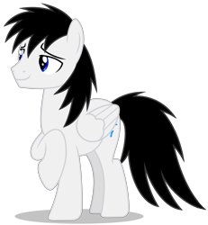 Size: 5484x5934 | Tagged: safe, artist:creedyboy124, oc, oc only, oc:shane park, pegasus, pony, handsome, male, pegasus oc, simple background, stallion, stallion oc, wings