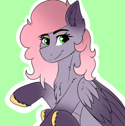 Size: 2028x2045 | Tagged: safe, artist:decemberbreeze, oc, oc only, pegasus, pony, pegasus oc, solo