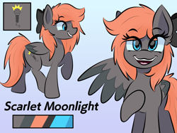 Size: 2048x1535 | Tagged: safe, oc, oc only, oc:darknightprincess, pegasus, blue eyes, bow, female, gray body, hair bow, red mane, reference sheet, solo