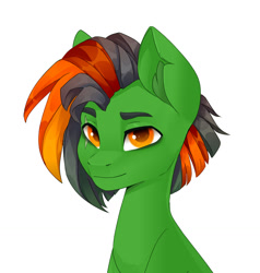 Size: 1216x1280 | Tagged: safe, artist:shooshaa, oc, oc only, earth pony, pony, bust, commission, eye scar, facial scar, portrait, scar, simple background, solo, white background