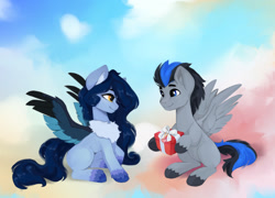 Size: 1280x922 | Tagged: safe, artist:shooshaa, oc, oc only, oc:tundra, pegasus, pony, chest fluff, cloud, colored wings, colored wingtips, commission, female, male, mare, oc x oc, on a cloud, outdoors, present, shipping, spread wings, stallion, straight, wings