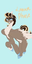 Size: 1026x2048 | Tagged: safe, artist:whimday, oc, oc only, oc:lunar phase, pegasus, pony, anatomically incorrect, chest fluff, fetlock tuft, incorrect leg anatomy, solo