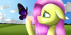 Size: 750x375 | Tagged: safe, artist:creampaint12, fluttershy, butterfly, pegasus, pony, g4, outdoors, solo