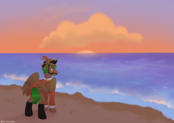 Size: 3508x2480 | Tagged: safe, artist:jjsh, oc, oc only, oc:peatmoss, cloud, facial hair, glasses, hat, high res, male, moustache, ocean, outdoors, pirate costume, pirate hat, sand, shore, sky, solo, stallion, sunset, turned head, water