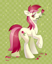 Size: 3600x4434 | Tagged: safe, artist:k0potb, roseluck, earth pony, pony, g4, checkered background, flower, flower in mouth, mouth hold, rose, rose in mouth, solo