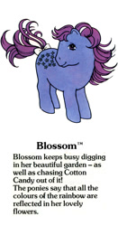 Size: 525x1000 | Tagged: safe, blossom, blossom (g1), earth pony, pony, g1, my little pony fact file, official, blossomdorable, bow, closed mouth, cute, female, g1 backstory, mare, smiling, solo, tail, tail bow, text