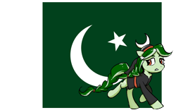 Size: 1920x1200 | Tagged: safe, artist:brella, oc, earth pony, pony, nation ponies, national flag, pakistan, ponified, solo