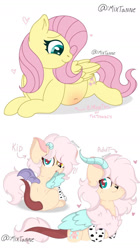 Size: 734x1310 | Tagged: oc name needed, source needed, safe, artist:mixtanne, fluttershy, oc, hybrid, pegasus, pony, g4, interspecies offspring, offspring, parent:discord, parent:fluttershy, parents:discoshy, pregnant, simple background, solo, white background