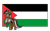 Size: 1920x1200 | Tagged: safe, artist:brella, oc, earth pony, pony, earth pony oc, nation ponies, national flag, palestine, ponified, solo