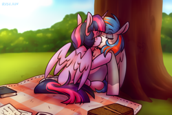 Size: 3000x2000 | Tagged: safe, artist:lrusu, twilight sparkle, oc, oc:portal bump, alicorn, pegasus, book, canon x oc, duo, duo female, female, kiss on the lips, kissing, lesbian, outdoors, pegasus oc, picnic, picnic blanket, ship:portalsparkle, tree, twilight sparkle (alicorn), wings