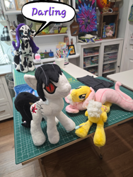 Size: 1410x1880 | Tagged: safe, fluttershy, rarity, cow, pony, g4, caption, decapitated, indoors, jeff the killer, knife, meme, murder, photo, raricow, seam ripper, species swap, text, violence