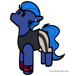 Size: 3000x3000 | Tagged: safe, artist:purple wingshade, oc, oc only, oc:midnight, earth pony, pony, solo