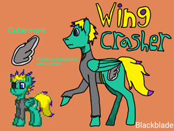 Size: 4096x3072 | Tagged: safe, artist:blackblade360, oc, oc only, oc:wing crasher, pegasus, pony, ashes town, fallout equestria, 2024, bio, blue eyes, clothes, cutie mark, digital art, eyepatch, green coat, ibispaint x, male, orange background, pegasus oc, pixel art, pony oc, raised hoof, raised leg, reference, reference sheet, signature, simple background, stallion, stallion oc, tail, title card, two toned mane, two toned tail