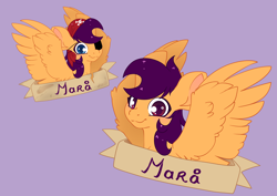 Size: 7014x4962 | Tagged: safe, artist:cutepencilcase, oc, oc only, pegasus, pony, pegasus oc, solo