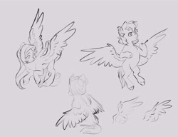 Size: 7800x6000 | Tagged: safe, artist:chub-wub, pegasus, pony, absurd resolution, ambiguous gender, flying, frown, hoof fluff, long mane, long tail, looking down, monochrome, partially open wings, raised hoof, rear view, requested art, short mane, simple background, sitting, sketch, smiling, spread wings, tail, tan background, thinking, three quarter view, trio, unknown pony, wavy mane, wavy tail, wings