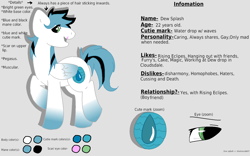 Size: 1634x1020 | Tagged: safe, artist:softfur, oc, oc:dew splash, pegasus, pony, 2012, implied gay, male, pegasus oc, reference sheet, solo, stallion