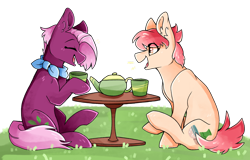 Size: 1280x817 | Tagged: safe, artist:sunnysynopsis, jasmine leaf, raspberry vinaigrette, earth pony, pony, g4, duo, female, food, outdoors, tea