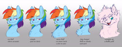 Size: 6109x2405 | Tagged: safe, artist:chub-wub, rainbow dash, oc, oc:fluffle puff, pegasus, pony, g4, chart, chest fluff, ear fluff, eyebrows, eyebrows visible through hair, female, fluffy, mare, one eye closed, open mouth, open smile, smiling, solo, wink