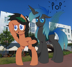 Size: 9031x8382 | Tagged: safe, artist:laurelcrown, oc, oc:kryostasis, oc:laurel crown, changeling, earth pony, pony, changeling oc, digital art, earth pony oc, glasses, outdoors, real life background