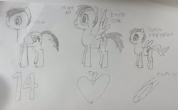 Size: 3100x1927 | Tagged: safe, oc, oc only, oc:14fan, oc:comet starstruck, oc:empire jack, pegasus, colt, foal, male, pegasus oc, photo, traditional art