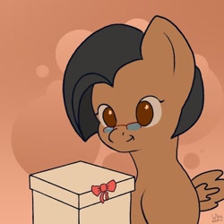 Size: 1024x1024 | Tagged: safe, artist:whynot_akril, oc, oc only, pegasus, pony, g4.5, my little pony: pony life, birthday, bow, box, brown eyes, brown hair, brown mane, glasses, gradient background, present, short hair, short mane, sketch, solo, starry eyes, tiny, wingding eyes, wings