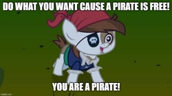 Size: 888x499 | Tagged: safe, screencap, pipsqueak, earth pony, pony, g4, luna eclipsed, caption, image macro, imgflip, lazytown, pirate pipsqueak, solo, song reference, text, you are a pirate