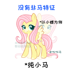 Size: 750x750 | Tagged: safe, artist:tutuantuan03860, fluttershy, pegasus, pony, g4, chinese, simple background, solo, translated in the comments, white background