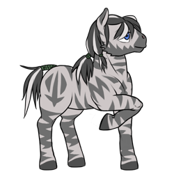 Size: 2099x2099 | Tagged: safe, artist:multiverseequine, derpibooru exclusive, oc, oc only, oc:makalo, pony, zebra, beard, black and white mane, black hooves, blue eyes, facial hair, full body, male, male oc, raised hoof, simple background, smiling, solo, stallion, striped mane, stripes, tail, tail wrap, tied mane, transparent background, zebra oc