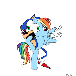 Size: 1000x1000 | Tagged: safe, rainbow dash, g4, fusion, fusion:rainbow dash, newbie artist training grounds, signature, simple background, sonic the hedgehog, sonic the hedgehog (series), spread wings, wings