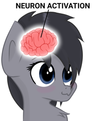 Size: 1370x1778 | Tagged: safe, artist:tweekstudio, oc, oc only, oc:tweek, pony, blue eyes, brain, chest fluff, female, mare, meme, neuron activation, organs, simple background, text