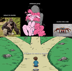 Size: 2136x2120 | Tagged: safe, artist:nekubi, editor:fluttershyisnot adoormat, pinkie pie, crab, earth pony, human, monkey, g4, choice, crossroads, evolution, grass, harambe, meme, outdoors, road