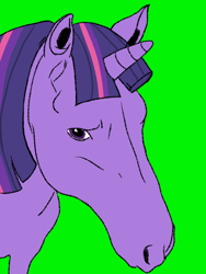 Size: 1080x1437 | Tagged: safe, artist:strlrdvol02, derpibooru exclusive, edit, twilight sparkle, pony, g4, female, hoers, horn, looking at you, meme, reaction image, solo