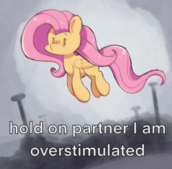 Size: 1470x1450 | Tagged: safe, artist:typhwosion, fluttershy, pegasus, g4, female, mare, meme, midair, ponified animal photo, ponified meme, solo, text