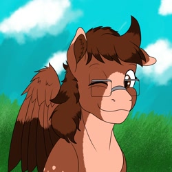 Size: 2000x2000 | Tagged: safe, artist:jerryclaymouse, oc, oc only, pegasus, pony, bust, glasses, looking at you, one ear down, one eye closed, outdoors, sitting, solo, wink