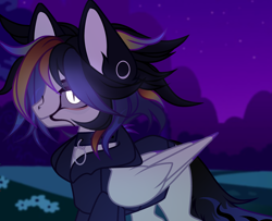 Size: 3508x2852 | Tagged: safe, artist:darkshalls, artist:shallarts, oc, oc:dark snow, pegasus, pony, comic:hoodies, aesthetics, atmosphere, male, night, outdoors, pegasus oc, solo