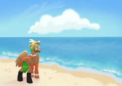 Size: 3508x2480 | Tagged: safe, artist:jjsh, oc, oc only, oc:peatmoss, cloud, facial hair, glasses, hat, high res, male, moustache, ocean, outdoors, pirate costume, pirate hat, sand, shore, sky, solo, stallion, turned head, water