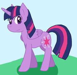 Size: 999x970 | Tagged: safe, artist:cmara, twilight sparkle, alicorn, pony, g4, female, looking at you, mare, outdoors, solo, twilight sparkle (alicorn)