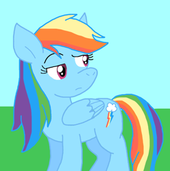 Size: 810x816 | Tagged: safe, artist:cmara, rainbow dash, pegasus, pony, g4, female, mare, outdoors, solo