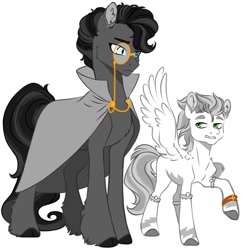 Size: 1080x1080 | Tagged: safe, artist:dragonkkphagon, oc, oc only, bat pony, pegasus, pony, cloak, clothes, duo, duo male, fanfic, fanfic art, harry potter (series), harry potter and the methods of rationality, male, monocle, rational fic bait, simple background, stallion, tom riddle, white background