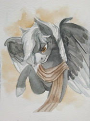 Size: 1662x2217 | Tagged: safe, artist:rowankitten, oc, oc only, oc:midnight serenity, pegasus, pony, bust, clothes, male, raised hoof, scarf, solo, spread wings, stallion, traditional art, watercolor painting, wings