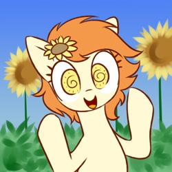 Size: 2000x2000 | Tagged: safe, artist:anonymous, oc, oc only, oc:thursday, earth pony, /bale/, earth pony oc, female, female oc, flower, flower in hair, looking at you, mare, mare oc, open mouth, open smile, raised hooves, smiling, smiling at you, solo, sunflower, weekday ponies, wingding eyes