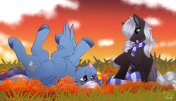 Size: 3000x1730 | Tagged: safe, artist:decemberbreeze, oc, oc only, pegasus, pony, :p, autumn, duo, outdoors, pegasus oc, silly, silly pony, tongue out