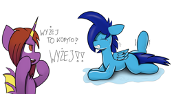 Size: 3540x1926 | Tagged: safe, artist:japkozjad, oc, oc only, oc:apply, oc:cherry starfall, pegasus, bat pony alicorn oc, gymnastics, motivational, pegasus oc, polish, simple background, sweat, sweat pool, text, training, translated in the description, white background