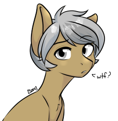 Size: 1360x1394 | Tagged: safe, artist:soff, oc, oc only, oc:hind, earth pony, pony, bust, confused, gray eyes, grey hair, looking at you, male, portrait, solo, stallion