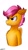 Size: 387x680 | Tagged: safe, artist:smashir09, scootaloo, pegasus, pony, g4, collarbone, female, humanoid torso, solo, sternocleidomastoid