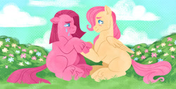 Size: 2631x1337 | Tagged: safe, artist:fizzmitz, fluttershy, pinkie pie, earth pony, pegasus, pony, g4, pinkamena diane pie