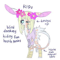 Size: 851x851 | Tagged: safe, artist:cutesykill, oc, oc only, oc:risu, donkey, arrow, bandage, bandaged leg, battle scarred, big ears, blind, blue eyes, blue sclera, body fluff, body scar, butt fluff, clothes, colored pinnae, donkey oc, ear scar, eye scar, eyelashes, facial scar, floppy ears, flower, flower in hair, leg scar, leonine tail, long ears, long legs, long mane, no catchlights, no mouth, non-pony oc, purple text, scar, shirt, simple background, solo, standing, straight mane, tail, tail scar, thick eyelashes, torn clothes, white background, white coat, white mane, white tail