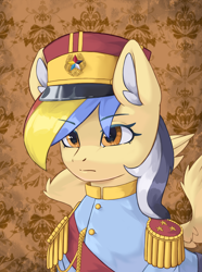 Size: 3120x4200 | Tagged: source needed, safe, artist:闪电_lightning, oc, pegasus, pony, equestria at war mod, bust, portrait